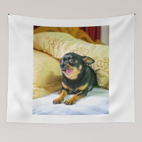Item preview, Funny Looking Chihuahua Dog designed and sold by VanGaldo.