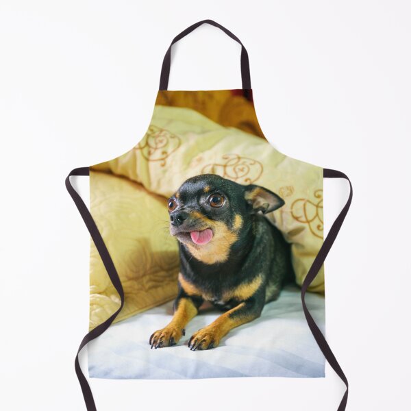 Item preview, Funny Looking Chihuahua Dog designed and sold by VanGaldo.