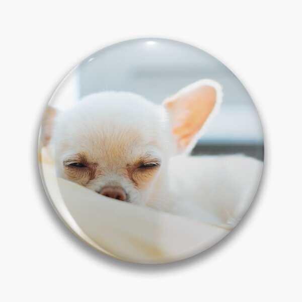 Item preview, Sleeping White Chihuahua Puppy designed and sold by VanGaldo.