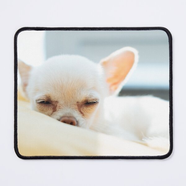 Item preview, Sleeping White Chihuahua Puppy designed and sold by VanGaldo.