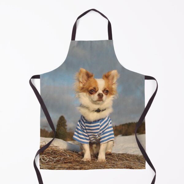 Item preview, Long Haired Chihuahua Dog Wearing Shirt designed and sold by VanGaldo.