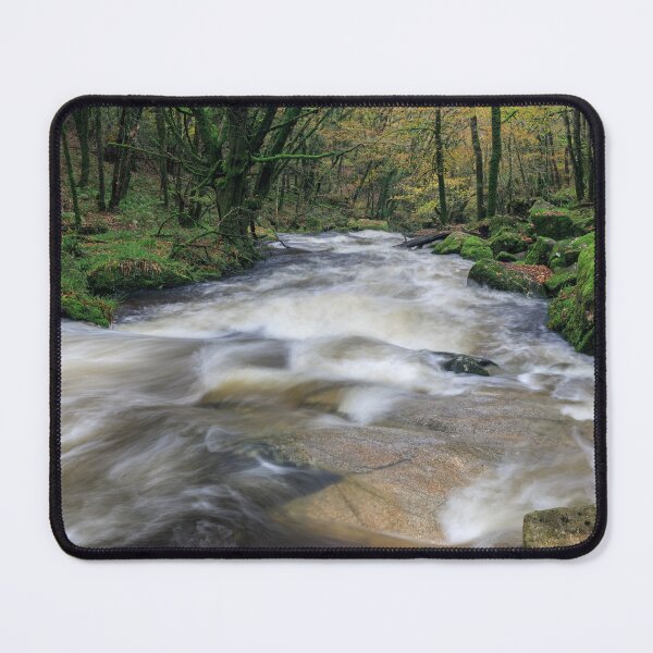 Item preview, Autumn at Golitha Falls designed and sold by bitm2007.
