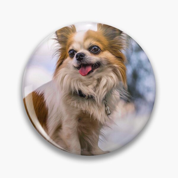Item preview, Long Haired Chihuahua Dog Resting on Wood designed and sold by VanGaldo.