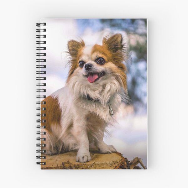 Item preview, Long Haired Chihuahua Dog Resting on Wood designed and sold by VanGaldo.