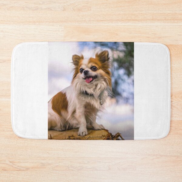 Item preview, Long Haired Chihuahua Dog Resting on Wood designed and sold by VanGaldo.