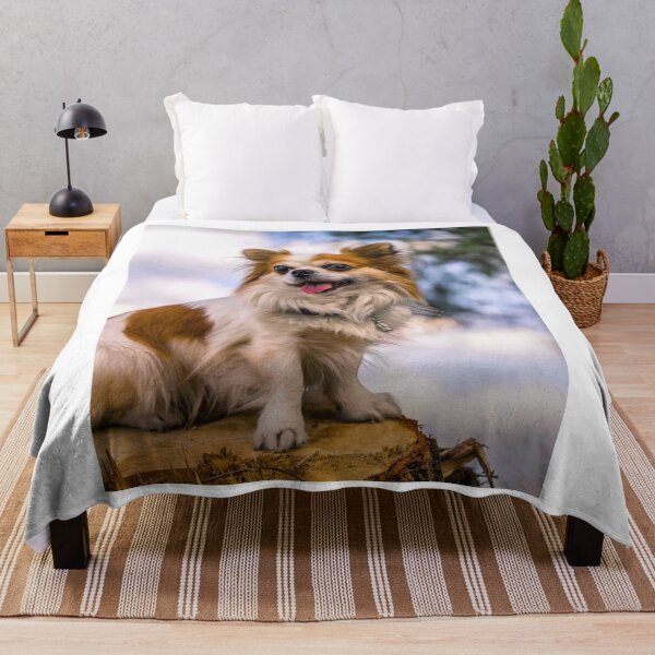 Item preview, Long Haired Chihuahua Dog Resting on Wood designed and sold by VanGaldo.