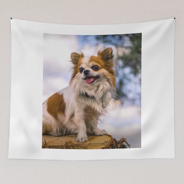 Item preview, Long Haired Chihuahua Dog Resting on Wood designed and sold by VanGaldo.