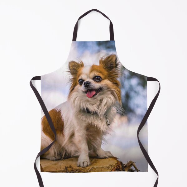 Item preview, Long Haired Chihuahua Dog Resting on Wood designed and sold by VanGaldo.