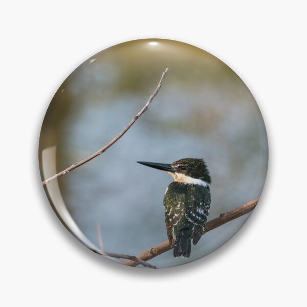 Item preview, Green Kingfisher Perched designed and sold by Debra Martz.