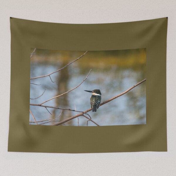 Item preview, Green Kingfisher Perched designed and sold by Debra Martz.