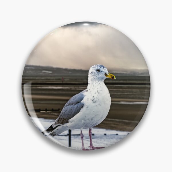 Item preview, Herring Gull In The Snow designed and sold by AJEvans.