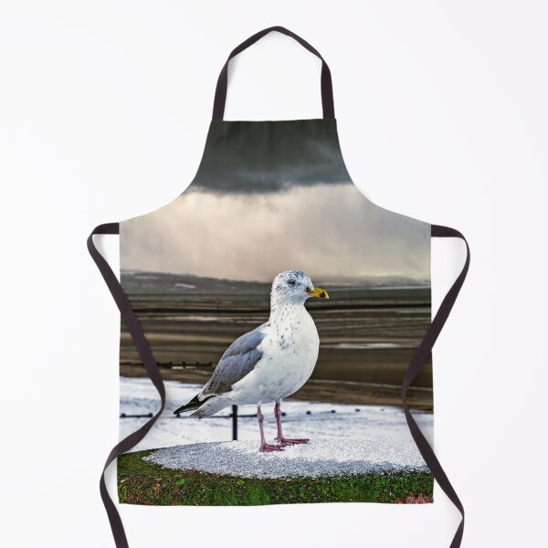 Item preview, Herring Gull In The Snow designed and sold by AJEvans.