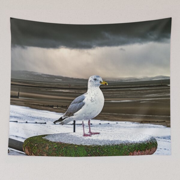 Item preview, Herring Gull In The Snow designed and sold by AJEvans.