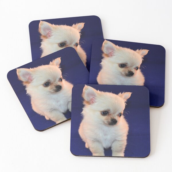 Item preview, Cute Shy White Chihuahua Puppy designed and sold by VanGaldo.