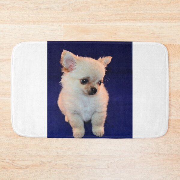 Item preview, Cute Shy White Chihuahua Puppy designed and sold by VanGaldo.