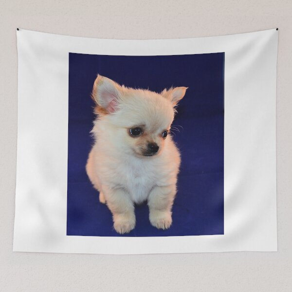 Item preview, Cute Shy White Chihuahua Puppy designed and sold by VanGaldo.
