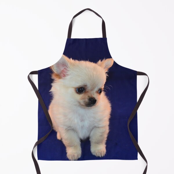 Item preview, Cute Shy White Chihuahua Puppy designed and sold by VanGaldo.