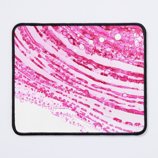 Item preview, histology designed and sold by Oliver-Edgar.