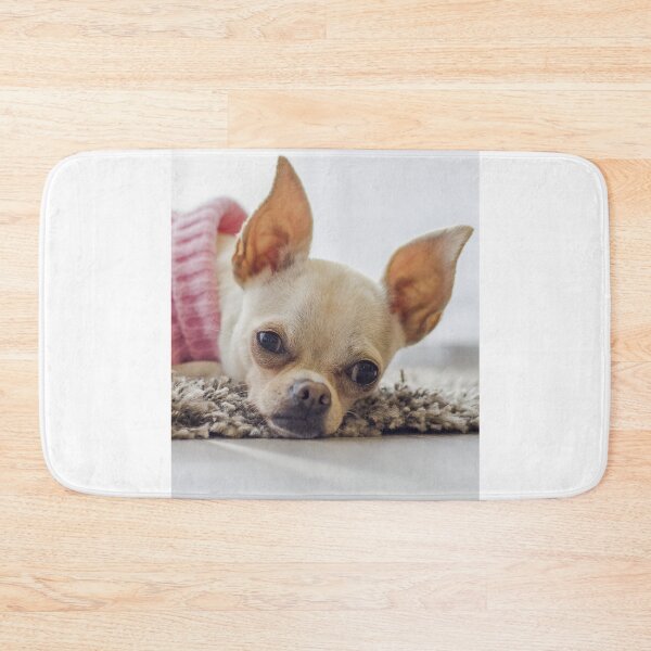 Item preview, Chihuahua Dog Lying on the Carpet designed and sold by VanGaldo.