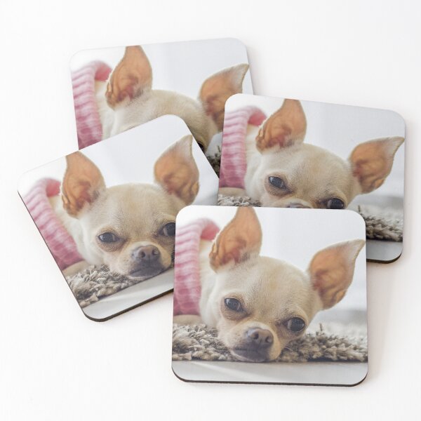Item preview, Chihuahua Dog Lying on the Carpet designed and sold by VanGaldo.