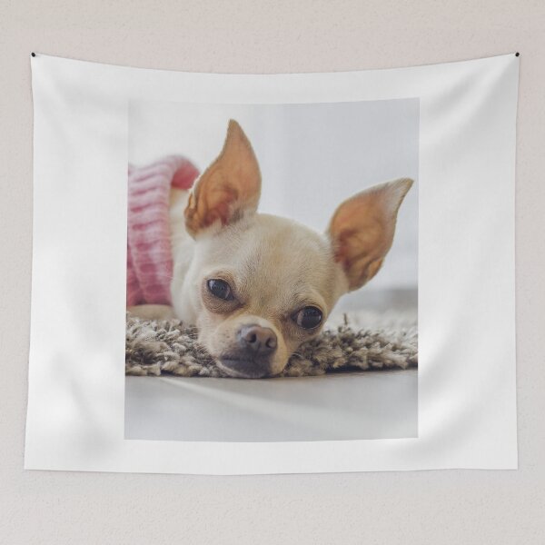 Item preview, Chihuahua Dog Lying on the Carpet designed and sold by VanGaldo.