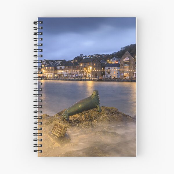 Item preview, Seal statue at Looe  designed and sold by bitm2007.