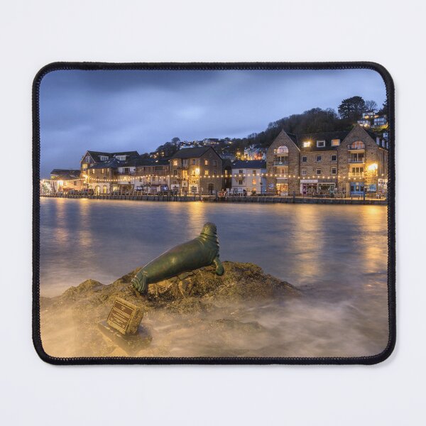 Item preview, Seal statue at Looe  designed and sold by bitm2007.