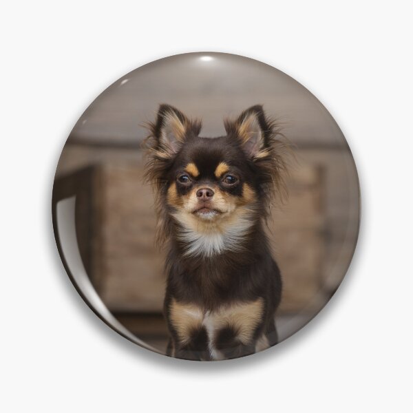 Item preview, Chihuahua Dog on Guard designed and sold by VanGaldo.