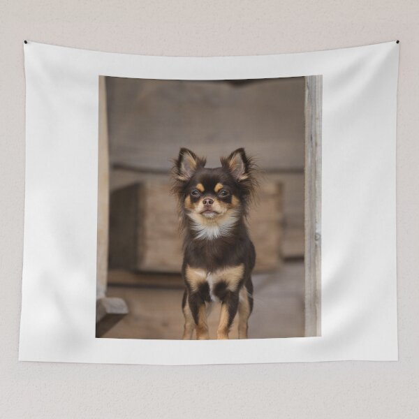 Item preview, Chihuahua Dog on Guard designed and sold by VanGaldo.