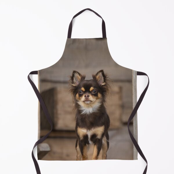 Item preview, Chihuahua Dog on Guard designed and sold by VanGaldo.