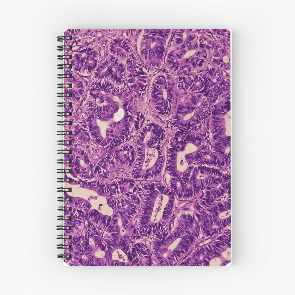 Item preview, histology designed and sold by Oliver-Edgar.