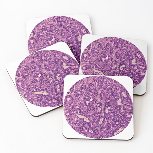 Item preview, histology designed and sold by Oliver-Edgar.