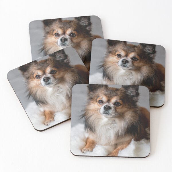 Item preview, Beautiful Fluffy Chihuahua Dog designed and sold by VanGaldo.