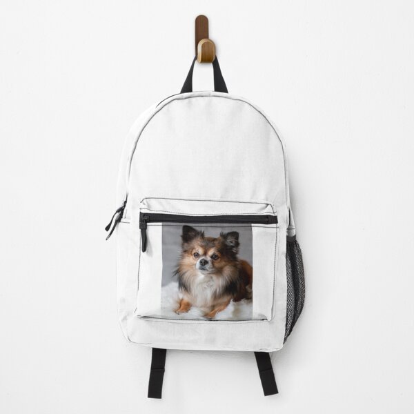 Item preview, Beautiful Fluffy Chihuahua Dog designed and sold by VanGaldo.