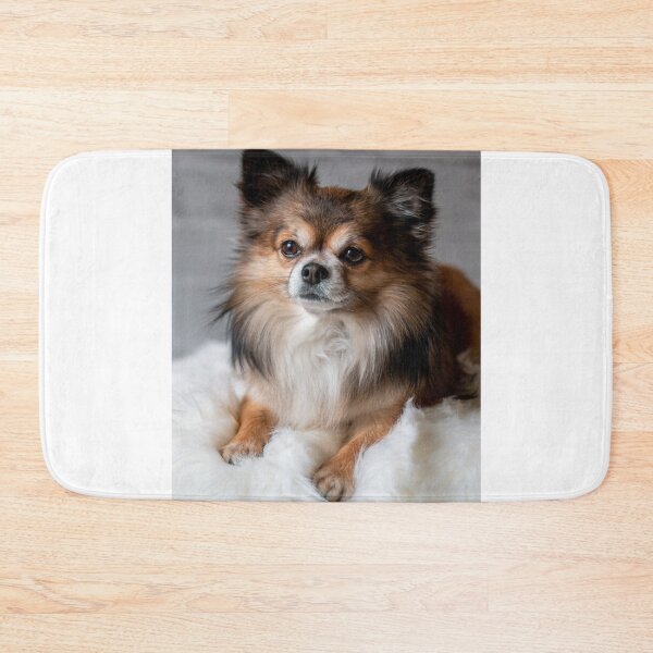 Item preview, Beautiful Fluffy Chihuahua Dog designed and sold by VanGaldo.