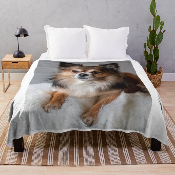 Item preview, Beautiful Fluffy Chihuahua Dog designed and sold by VanGaldo.