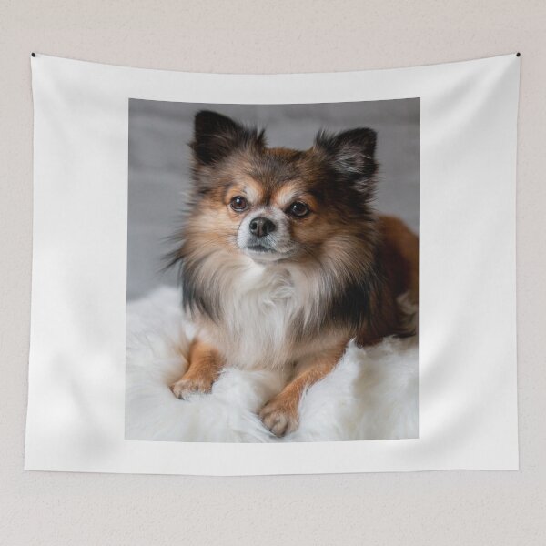 Item preview, Beautiful Fluffy Chihuahua Dog designed and sold by VanGaldo.