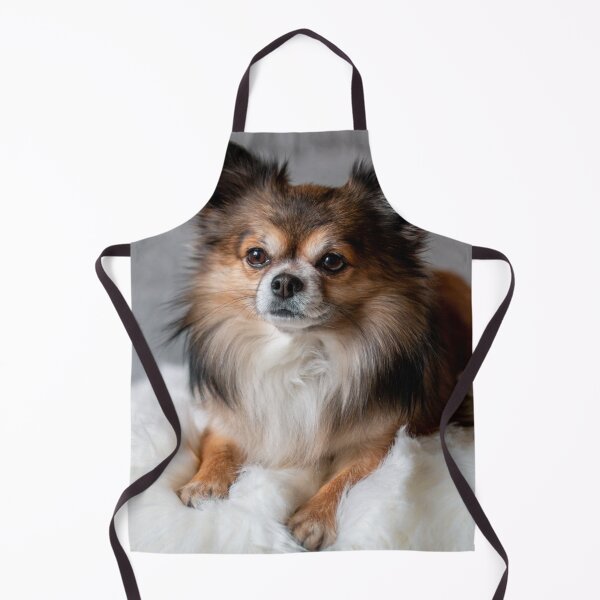 Item preview, Beautiful Fluffy Chihuahua Dog designed and sold by VanGaldo.