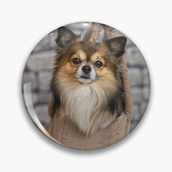 Item preview, Chihuahua Dog Inside the Bag designed and sold by VanGaldo.