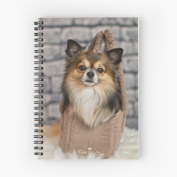 Item preview, Chihuahua Dog Inside the Bag designed and sold by VanGaldo.