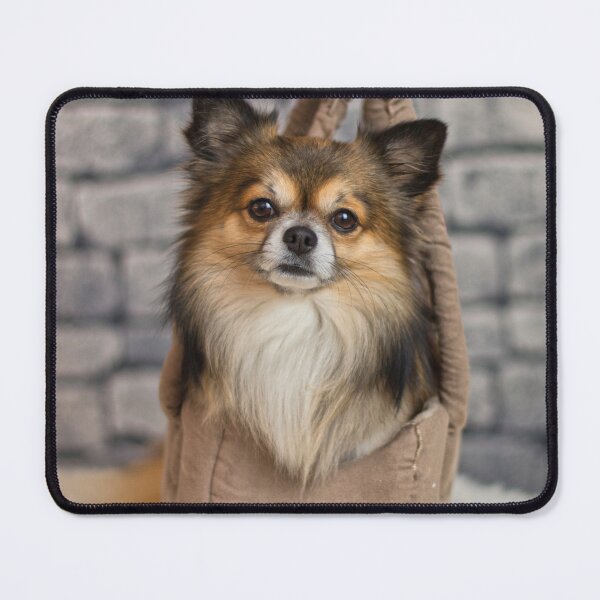 Item preview, Chihuahua Dog Inside the Bag designed and sold by VanGaldo.