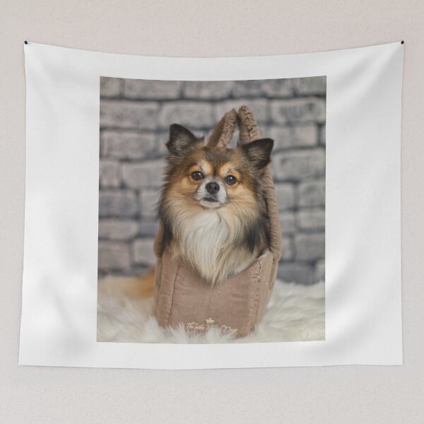 Item preview, Chihuahua Dog Inside the Bag designed and sold by VanGaldo.