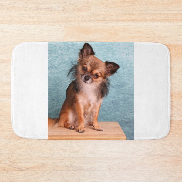 Item preview, Long Haired Chihuahua Dog Tilting Head designed and sold by VanGaldo.