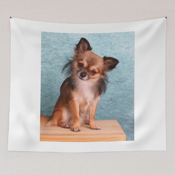 Item preview, Long Haired Chihuahua Dog Tilting Head designed and sold by VanGaldo.