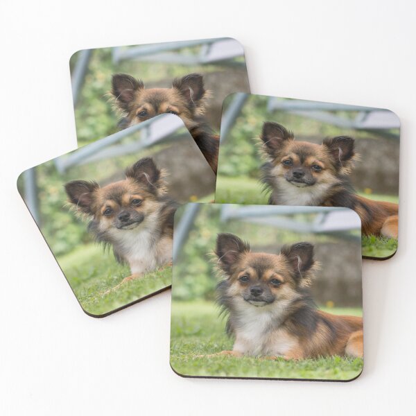 Item preview, Chihuahua Dog Lying on Green Grass designed and sold by VanGaldo.