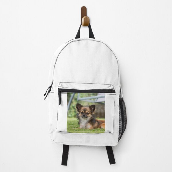 Item preview, Chihuahua Dog Lying on Green Grass designed and sold by VanGaldo.