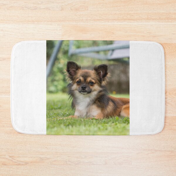 Item preview, Chihuahua Dog Lying on Green Grass designed and sold by VanGaldo.