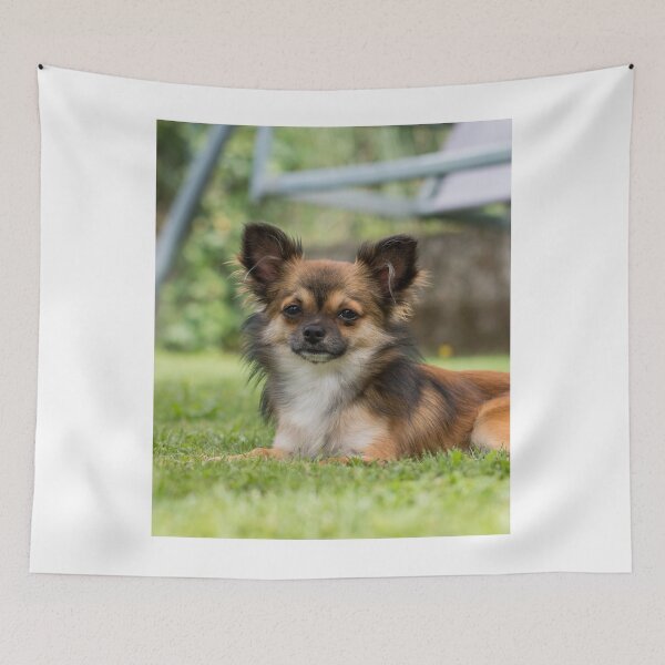 Item preview, Chihuahua Dog Lying on Green Grass designed and sold by VanGaldo.