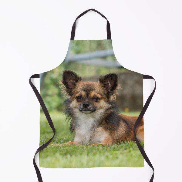 Item preview, Chihuahua Dog Lying on Green Grass designed and sold by VanGaldo.