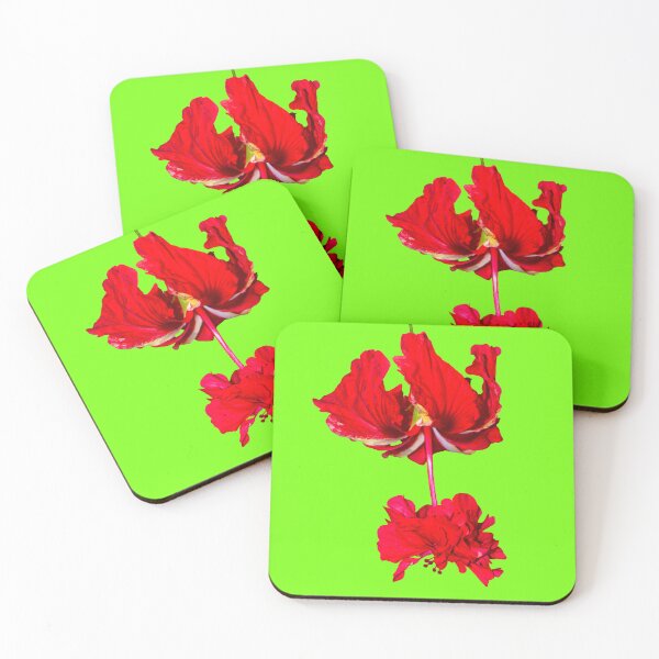 Item preview, Variegated Tropical Hibiscus Latin name Hibiscus rosa-sinensis, El Capitolio designed and sold by Peter Etchells.
